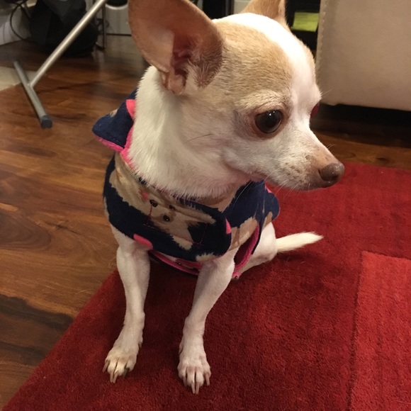 Handmade dog jacket 💕 dog sweater - Picture 4 of 7